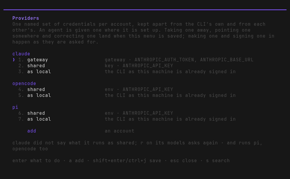 the /providers list afterwards: shared under claude, opencode and pi, each saying which
variable it sets