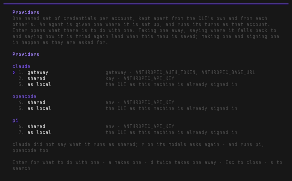 the /providers list afterwards: shared under claude, opencode and pi, each saying which
variable it sets