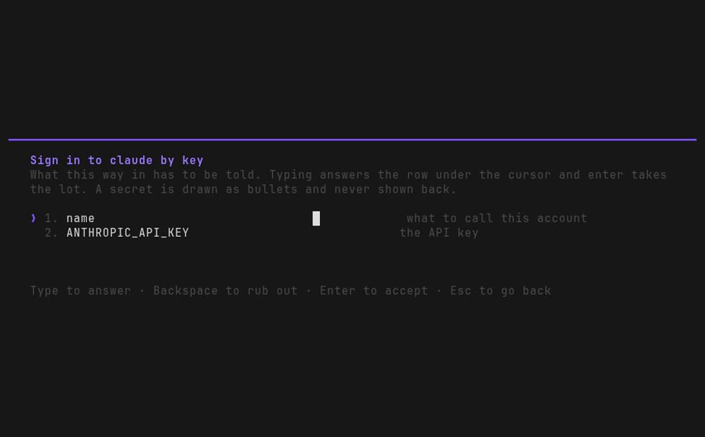 /providers, a, claude, key: an account named and its key typed as bullets, then the question
of which other backends to write it down for