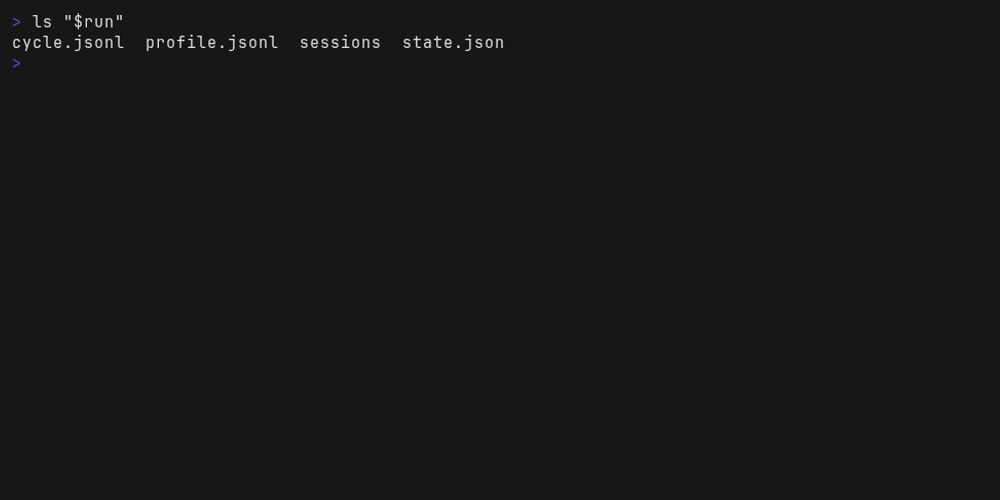 ls of one run's directory: cycle.jsonl, profile.jsonl, sessions and state.json, and no traces
yet